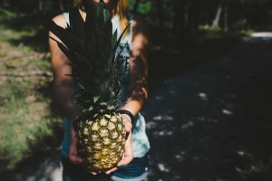 pineapple-supply-co-122661