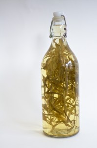 tarragon-vinegar-714815_1280